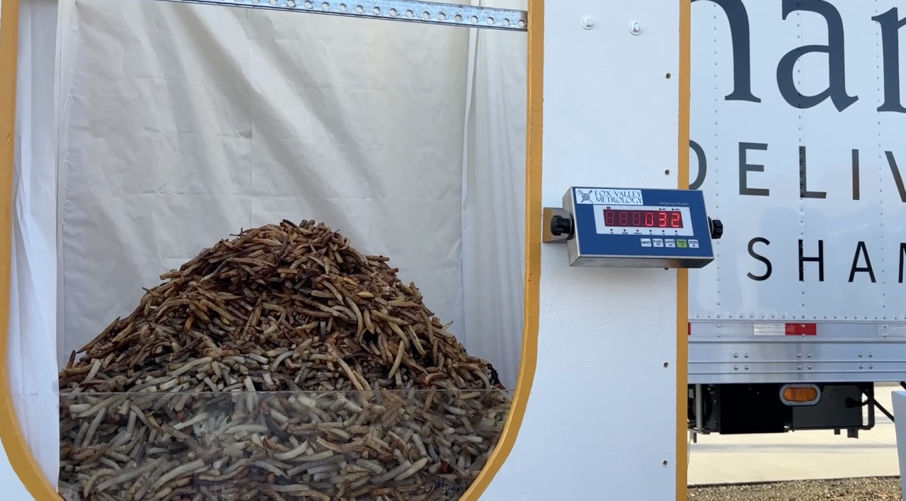 Idaho sets new Guinness World Record for largest serving of French fries