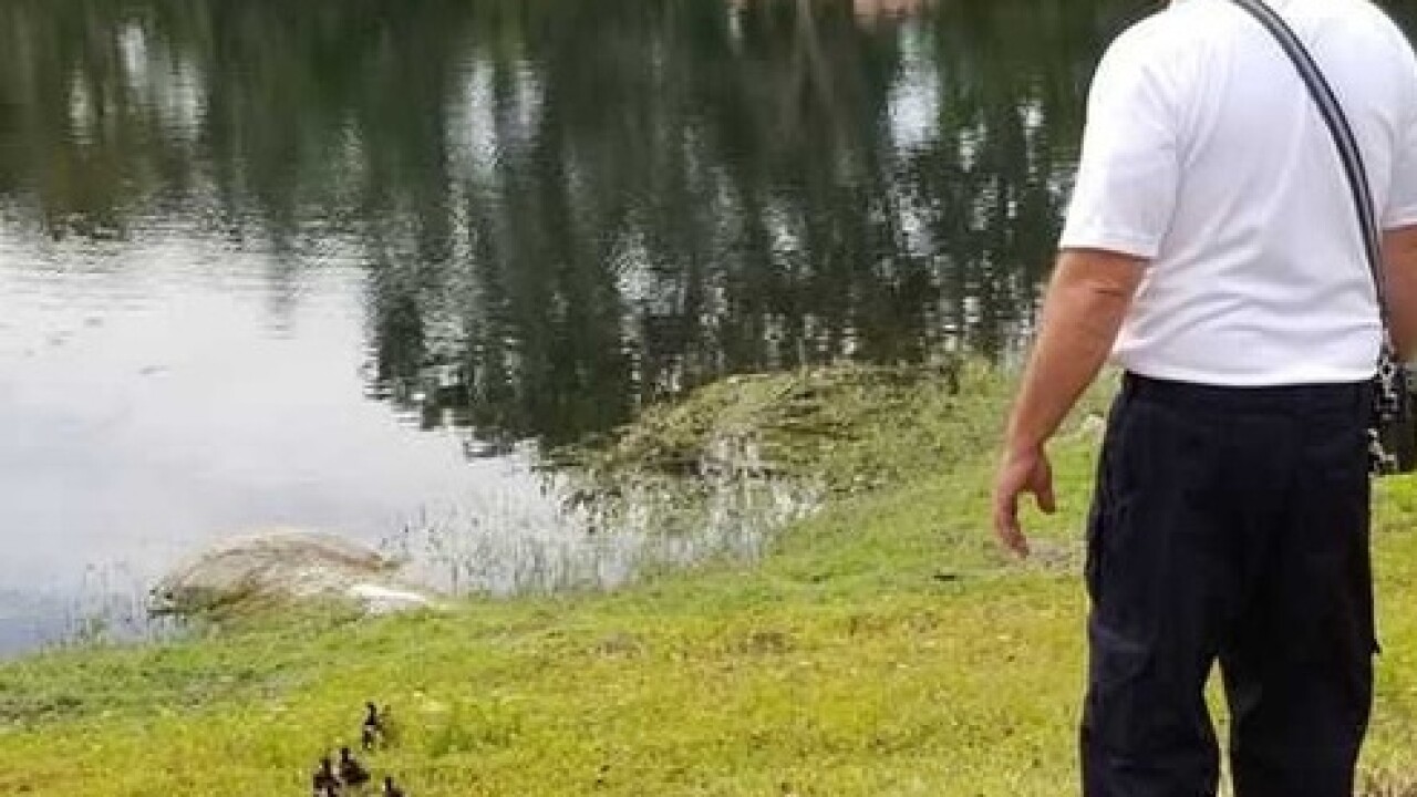 Photos: Fire crew rescues ducklings from drain