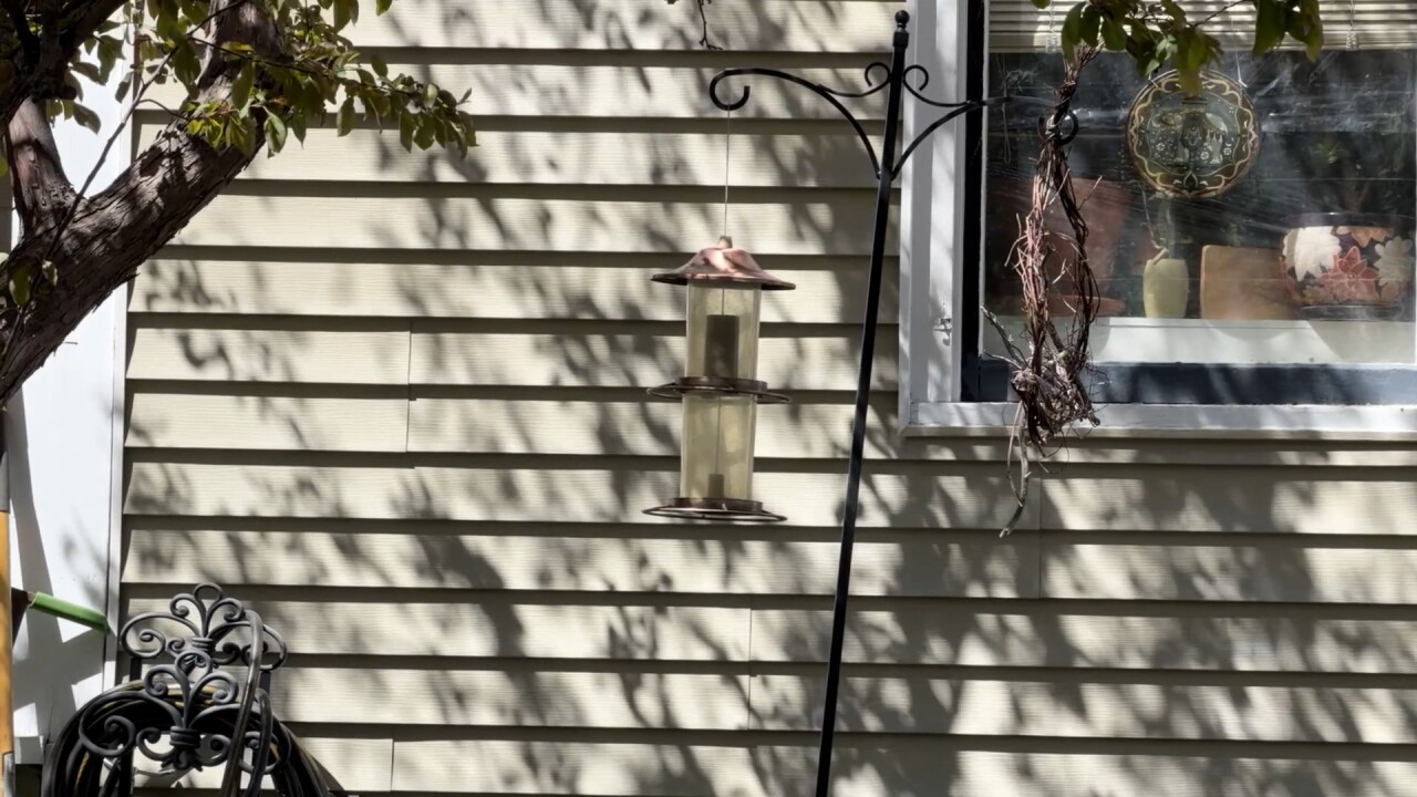 Helena yard birdfeeded
