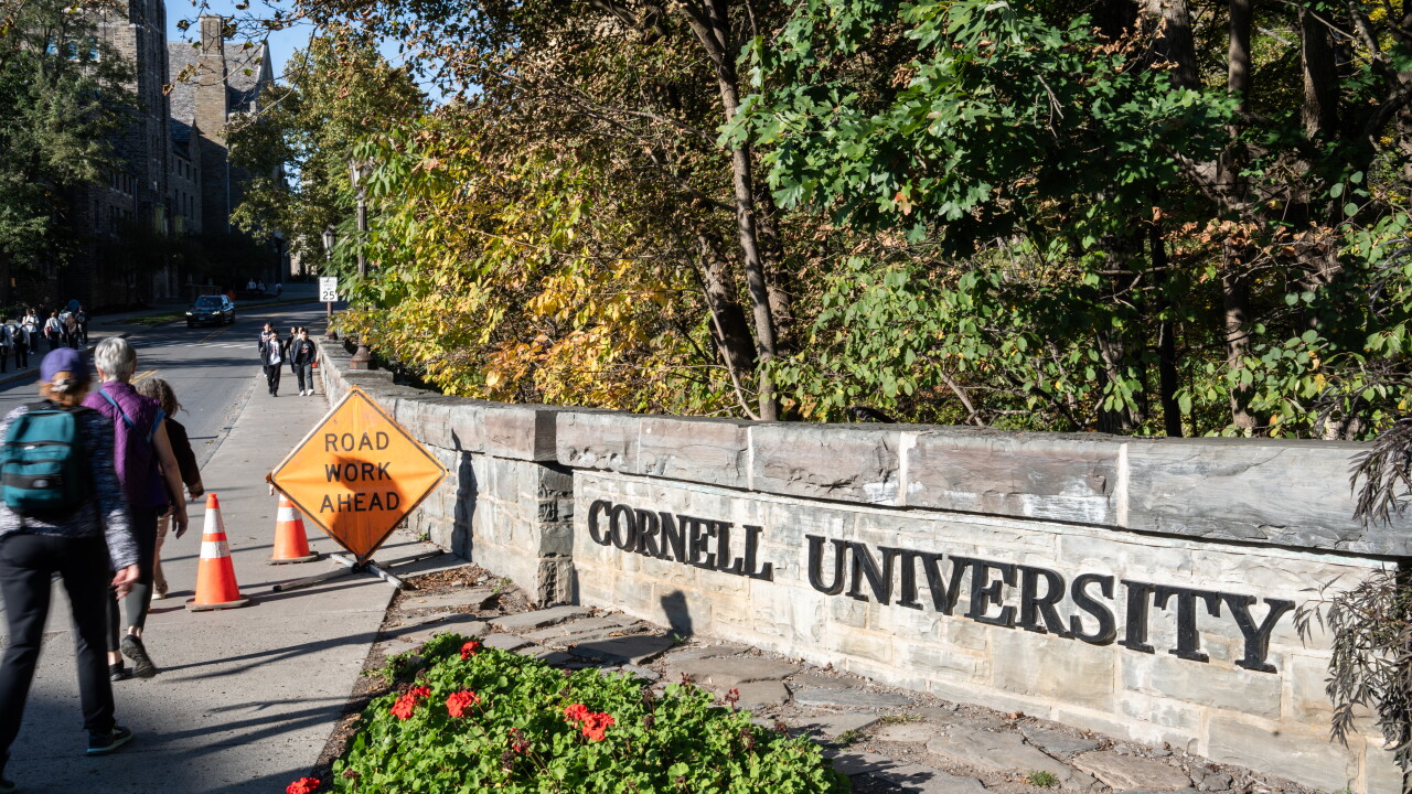 Cornell Investigation