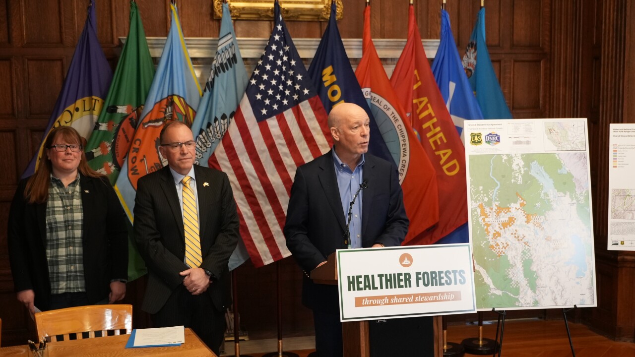 Gianforte Forest Management
