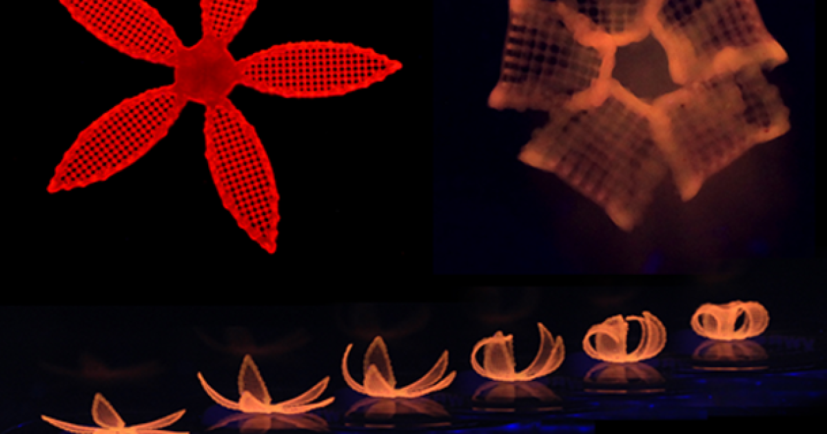 VIDEO: 4D printed structures change shape