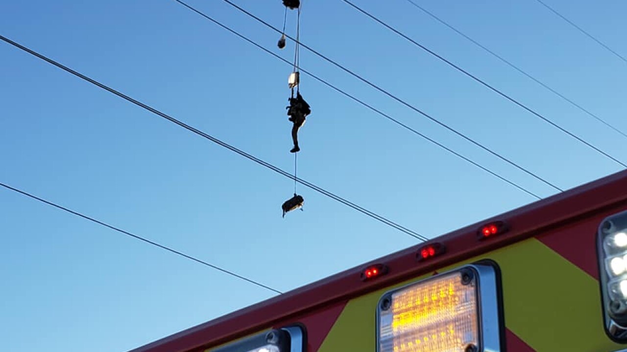 Arizona City Paratrooper Rescue - Eloy Fire District.jpg