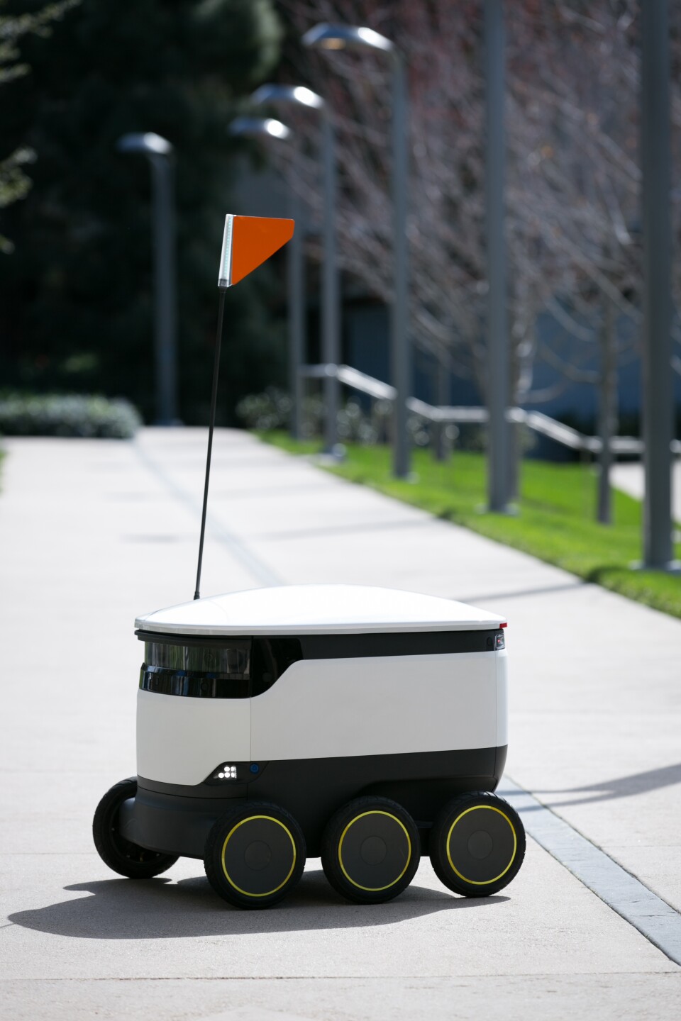 Food delivery robots