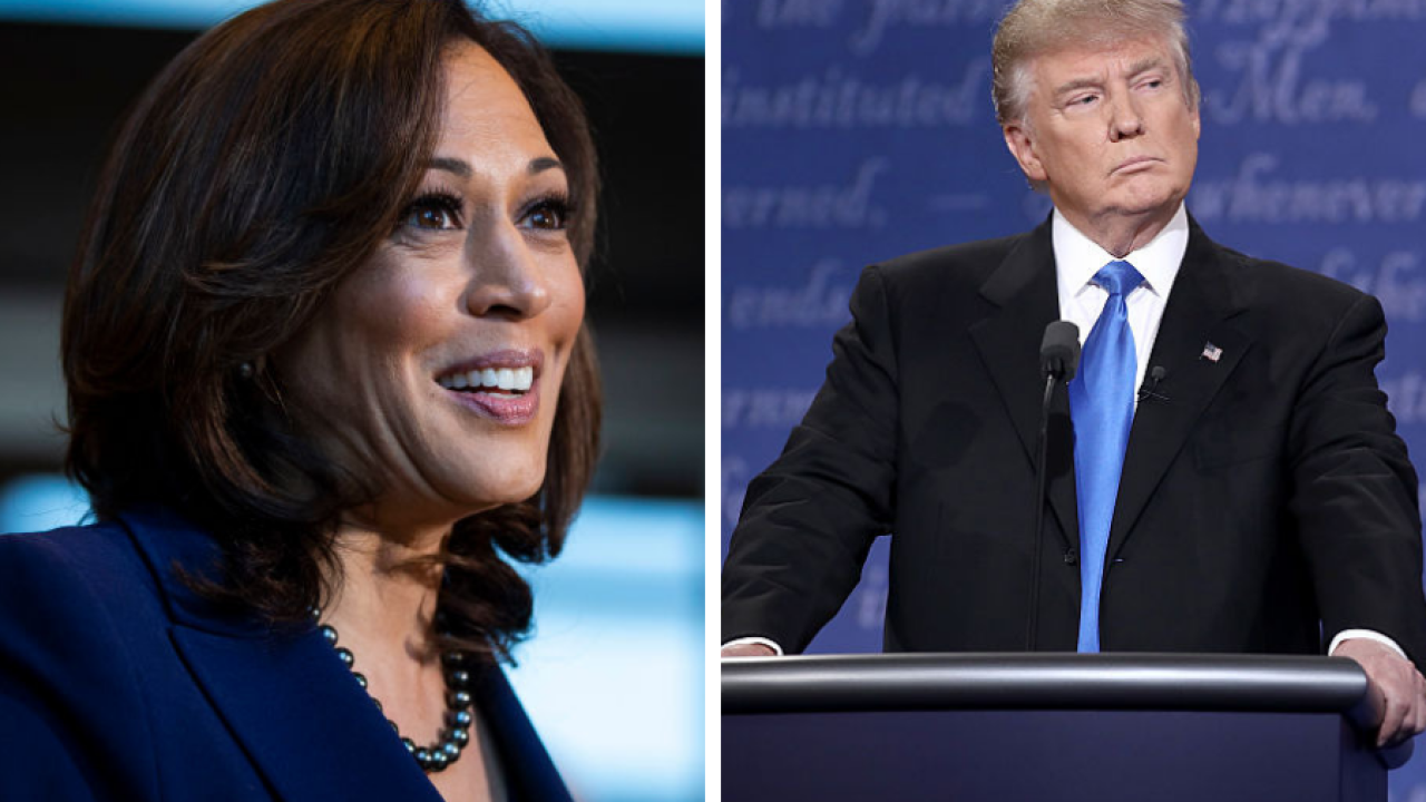 Image result for Kamala Harris apologized for laughing at the remark made on Trump