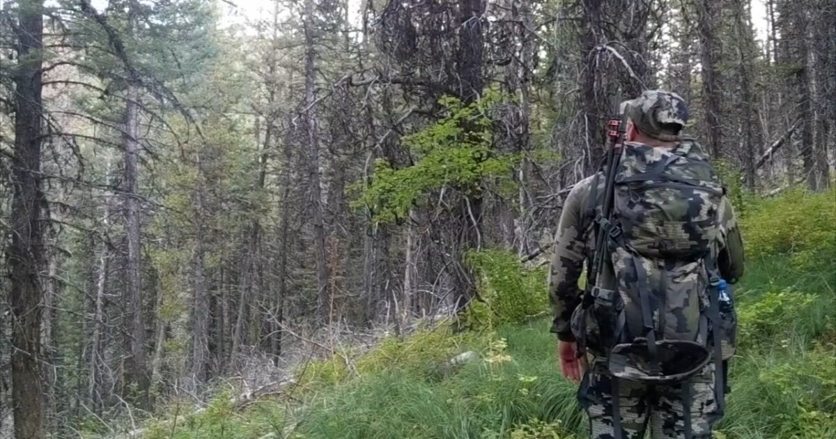 2024 Elk Hunting Access Agreement Program - Vimarsana News
