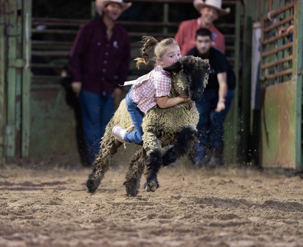 Mutton Bustin'