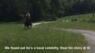Photo Of Horse At Waffle House Goes Viral