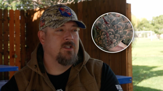 manvmountainlion.png