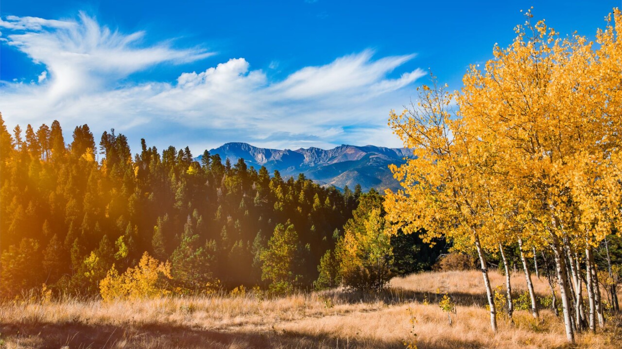 Teller County June Blooms Photography