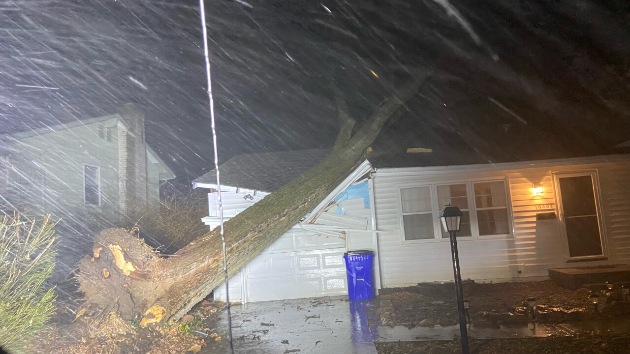 Tree into home