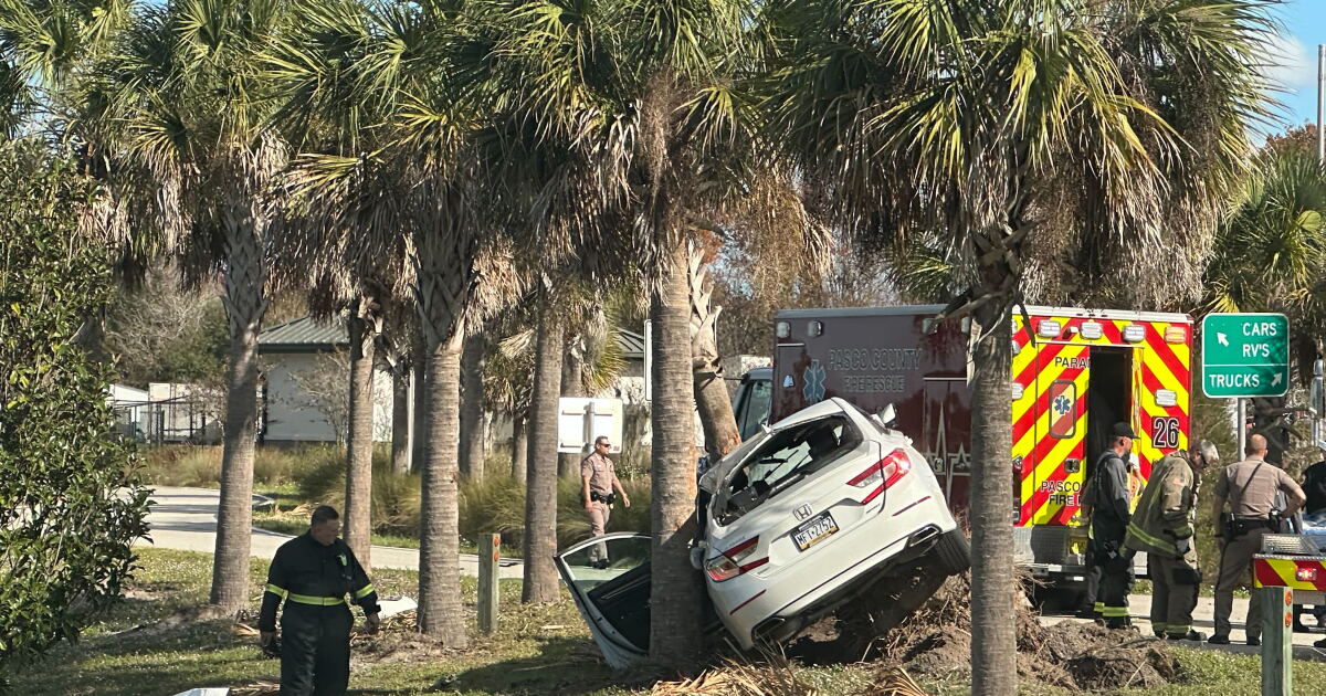 Driver dies after striking tree on I-75 in Wesley Chapel - Vimarsana News