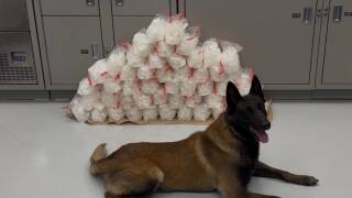 100 pounds of methamphetamine seized by Mesquite Police canine and handler