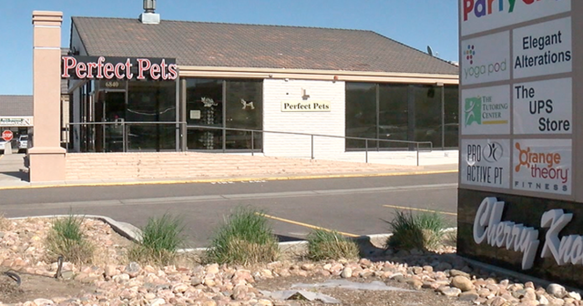 Centennial Pet Shop Accused Of Selling Sick Dogs To Customers