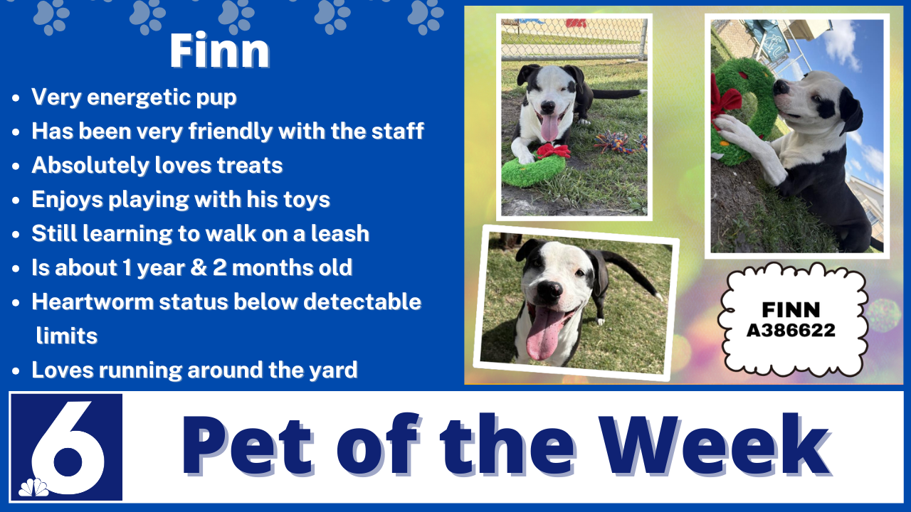 Pet of the Week: Finn