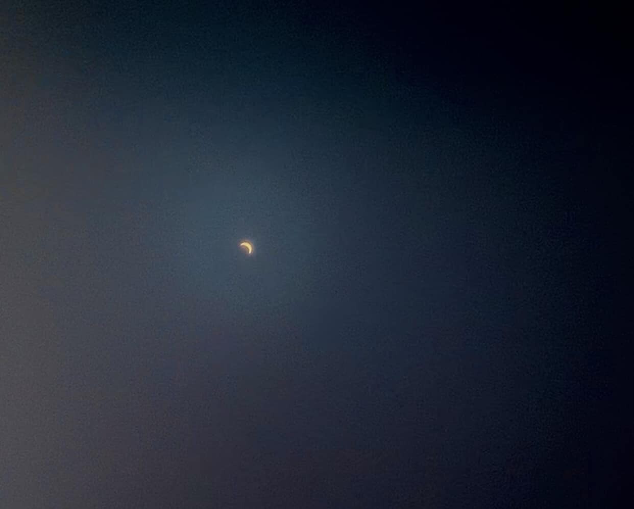 Jessica Regnier.jpeg