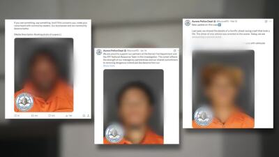 aurora blurred mugshots