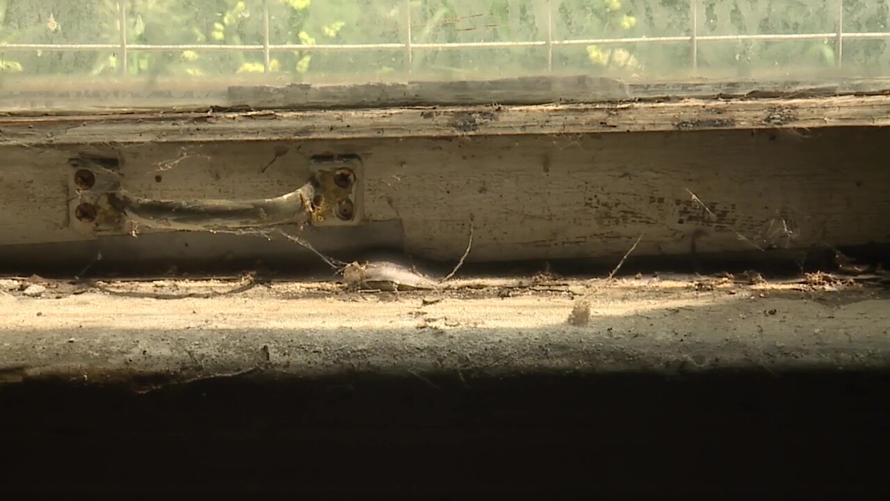 Spiderwebs cling to a dusty windowsill inside one of the Dall-Mays Houses, where vines climb up the wall outside.