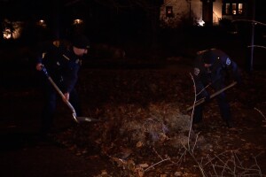Cleveland Hts tow trees 2.jpg