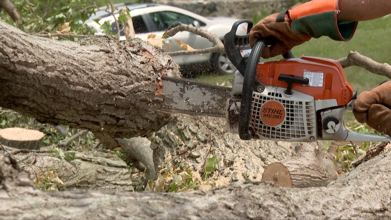 walworth co storm volunteer 1.jpg