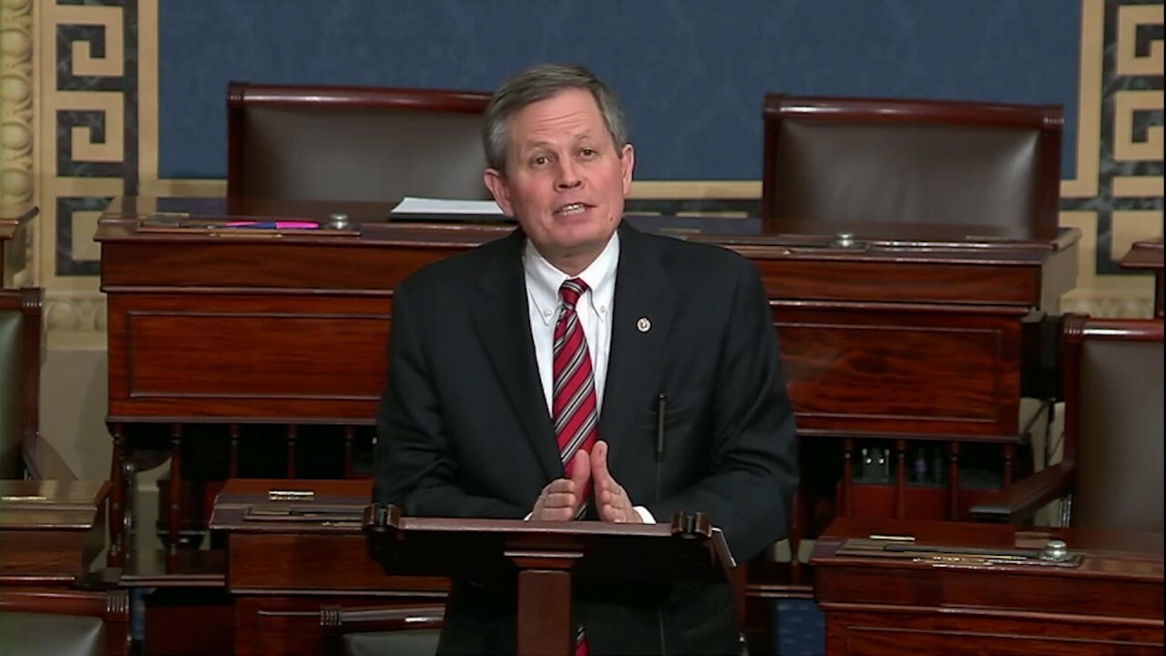 Daines-impeachment.jpg