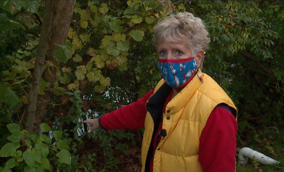 Growing N.E. Ohio rainwater runoff cause chronic flooding and erosion issues