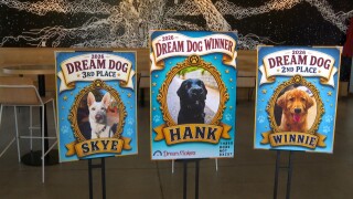 Dream Dog SLO.jpg
