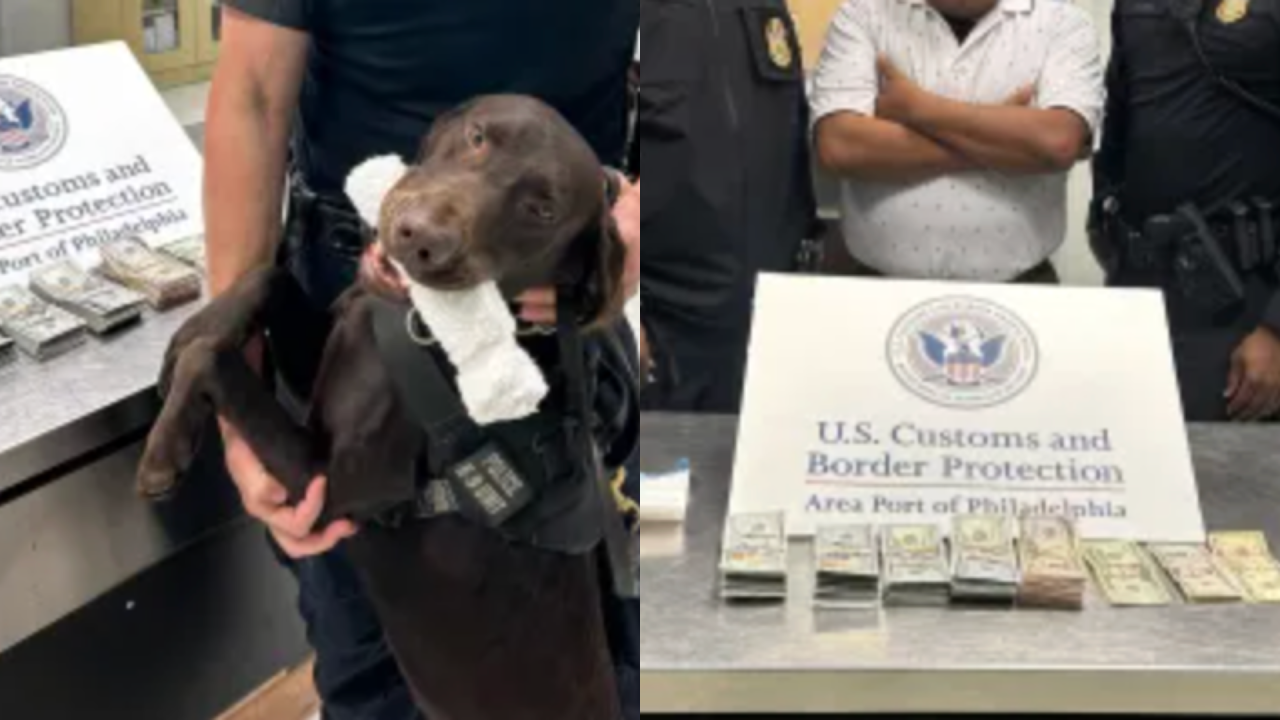 k9 nitro cbp