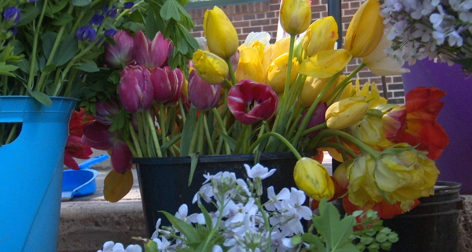 Farmers' Market on Broadway kicks off for the season