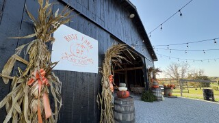 The Patch at Rose Farm