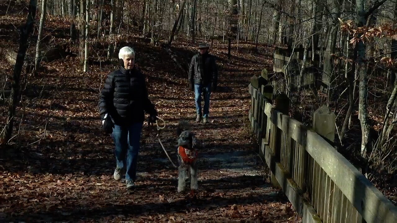 mccormick creek 3.jpg