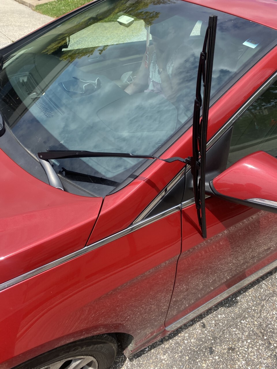 victims downtown.jpeg