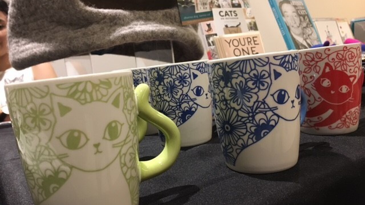 PHOTOS: Internet Cat Video Festival