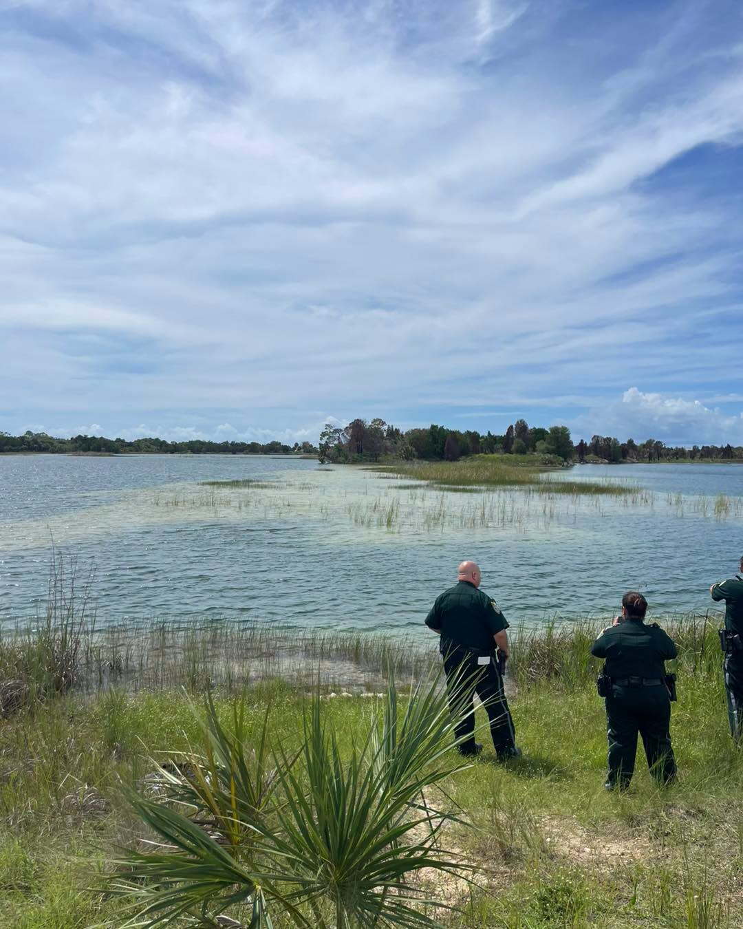 gator incident2.jpg