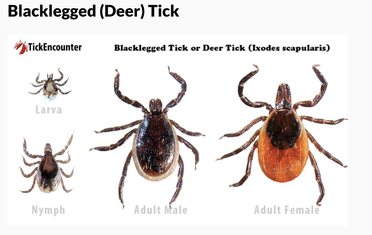 Screen Shot 2024-05-01 at 7.06.30 PM.png