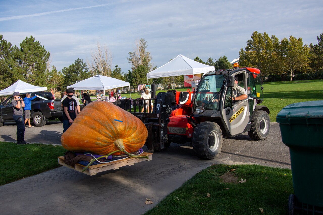 Pumpkin Weigh Off 1.jpg