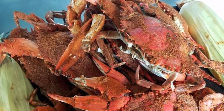 Screen Shot 2022-06-30 at 9.23.19 PM.png