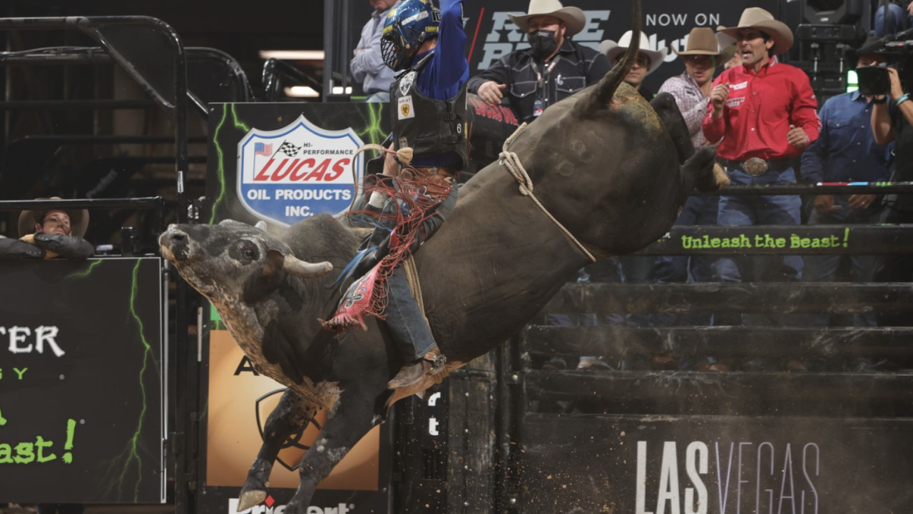 Pbr World Finals 2025 Live Stream