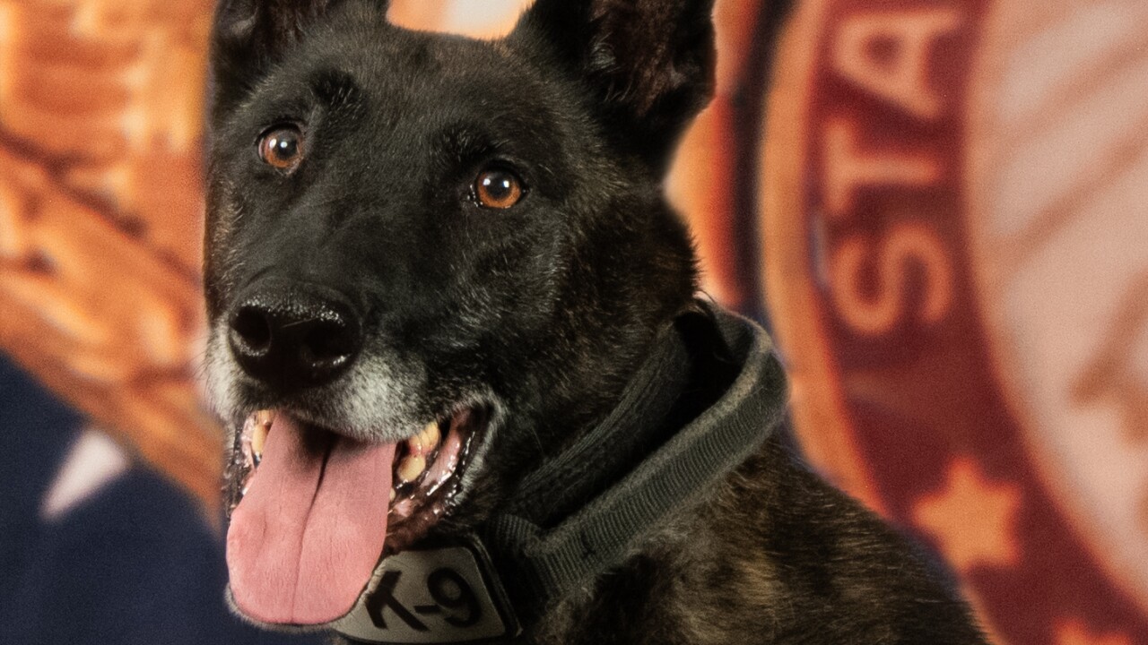 K9 Knox