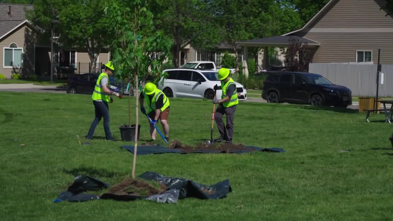 Missoula Tree Planting Volunteers