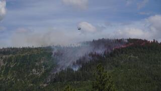 Deer Fire