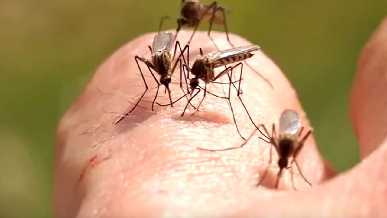 West Nile Virus reported in three Montana counties