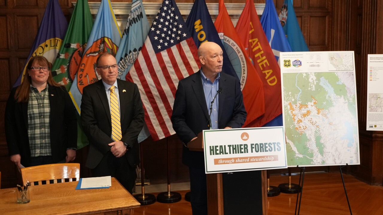 Gianforte Forest Management