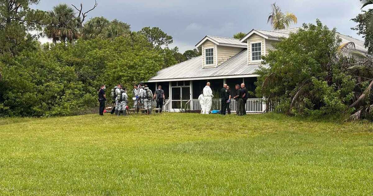 Florida woman accused of hoarding around 80 cats she collected from mail route
