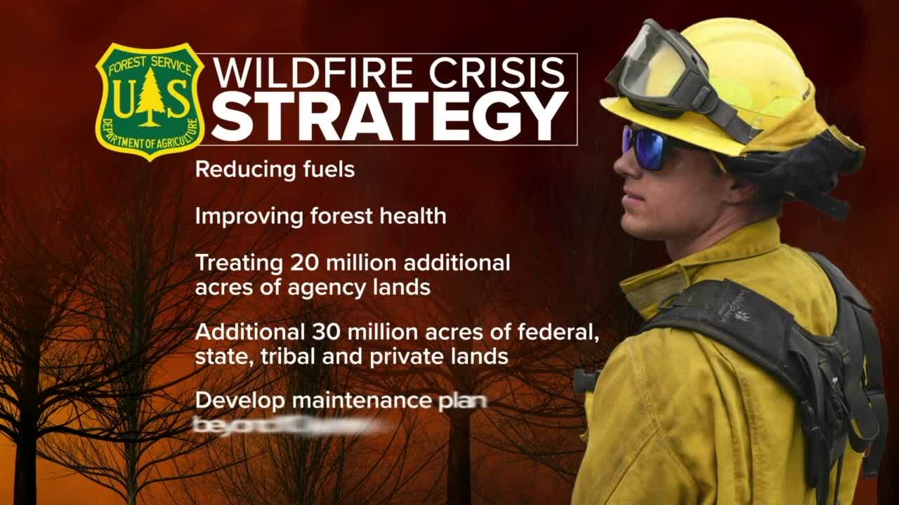 USFS Wildfire Strategy