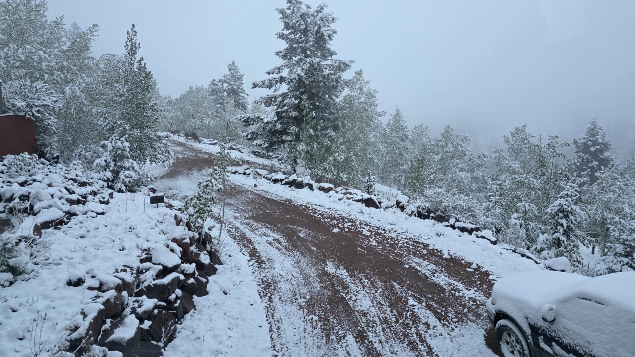 Matt LeVee Woodland Park snow