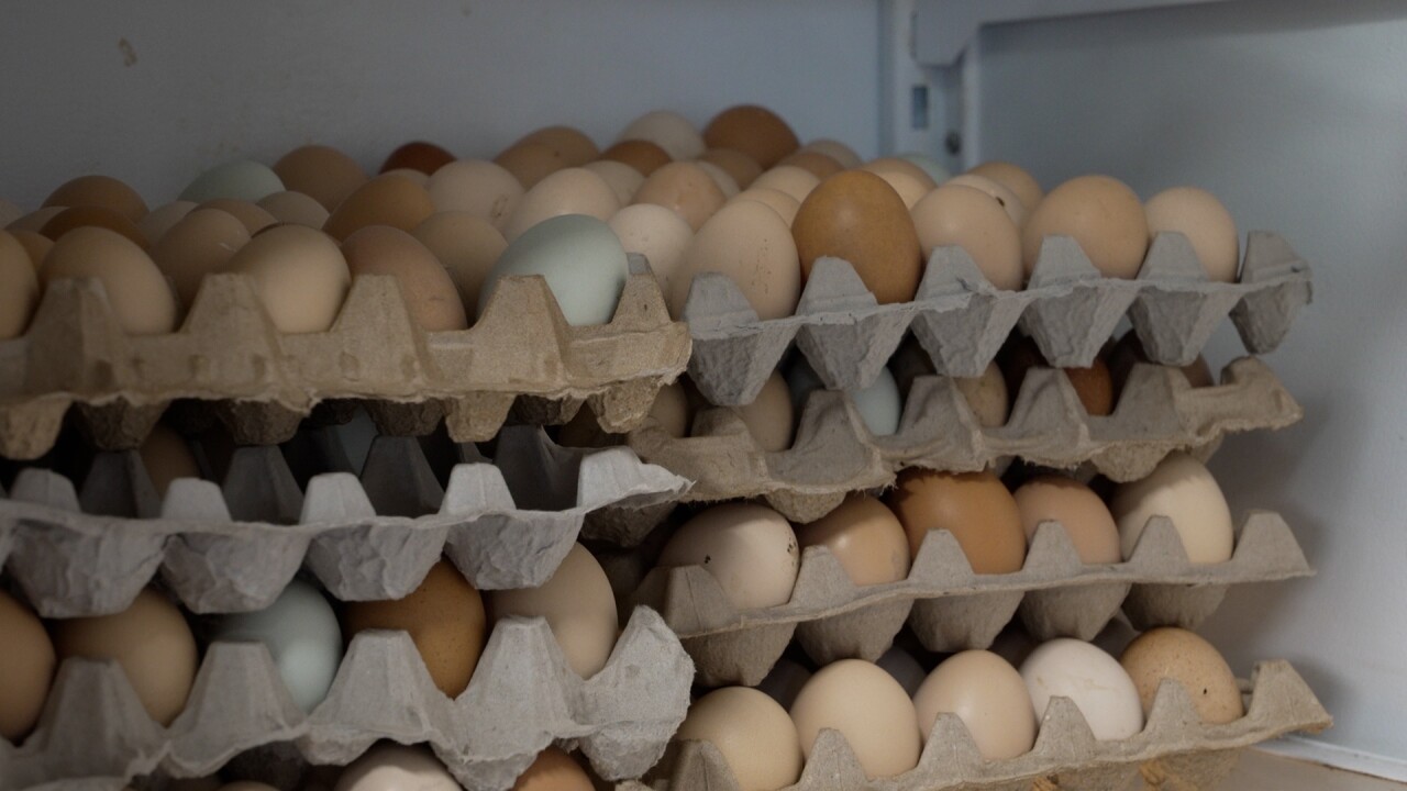 Eggs