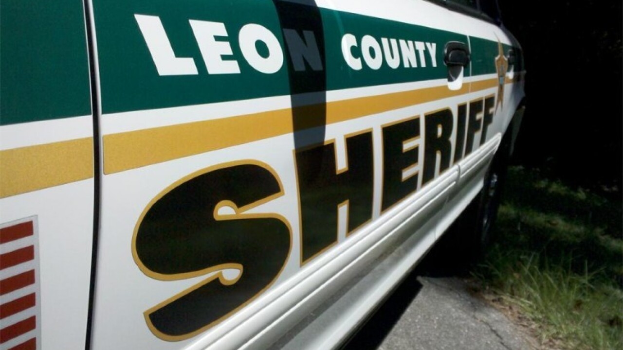 Leon County Deputies arrest theft suspect