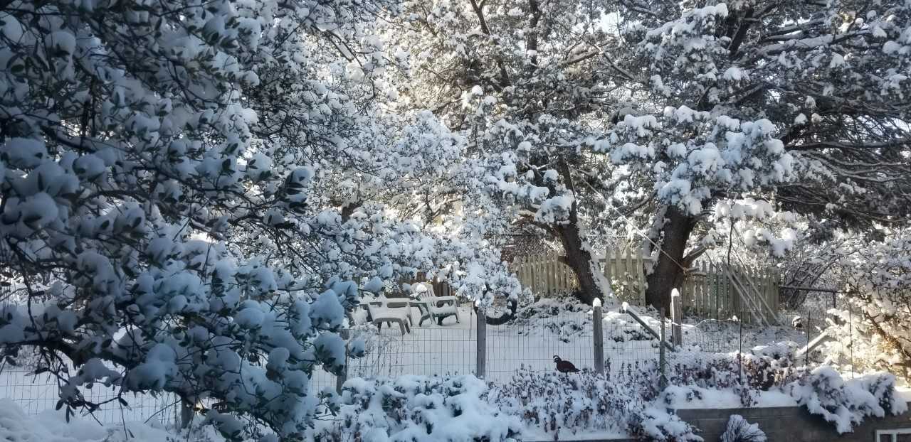 Photos Winter Storm Brings Snow To Arizona