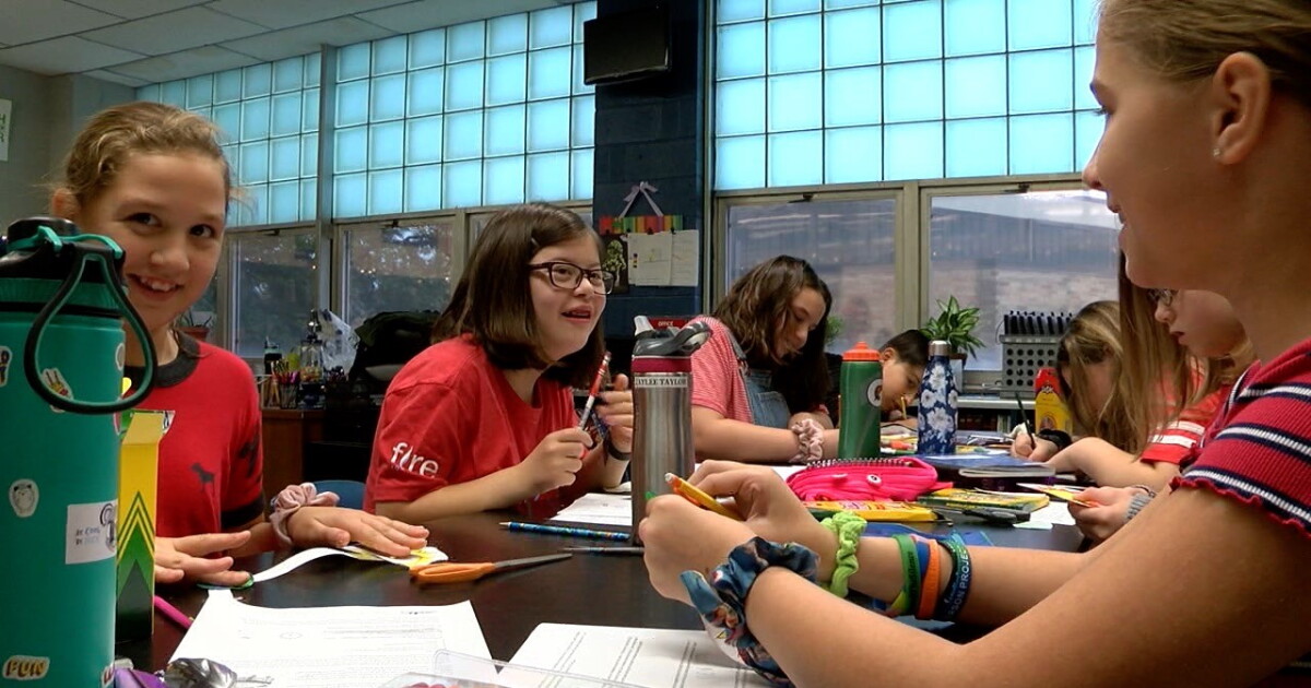 How the FIRE Foundation brings inclusion to the classroom 